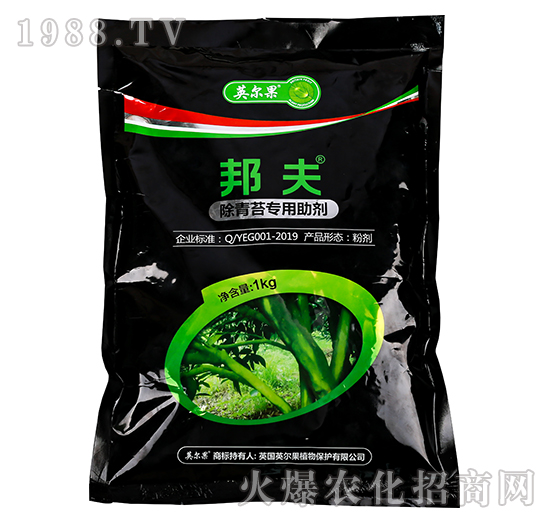 ����̦��������-���-Ӣ����