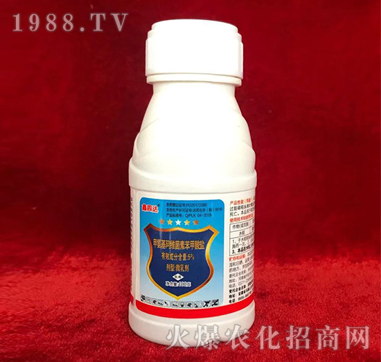 5%�װ������S���ر������}-�����_-���_�rˎ