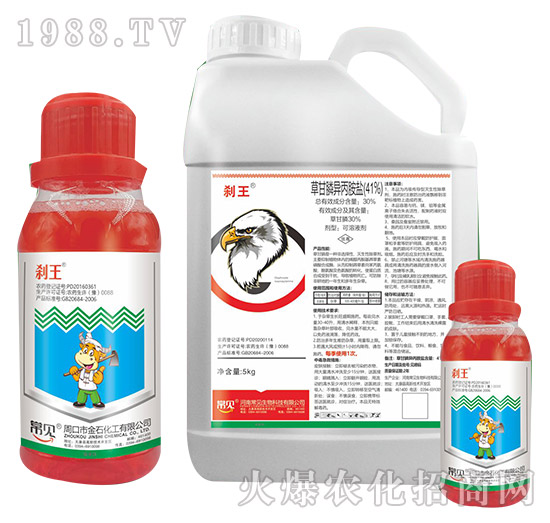 41%�ݸ�좮������}-�x��-��Ҋ����