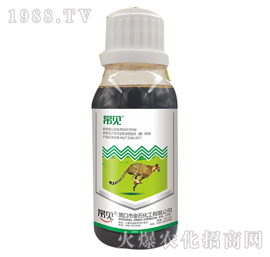 20%���ݿ�-��Ҋ-��ʯ����