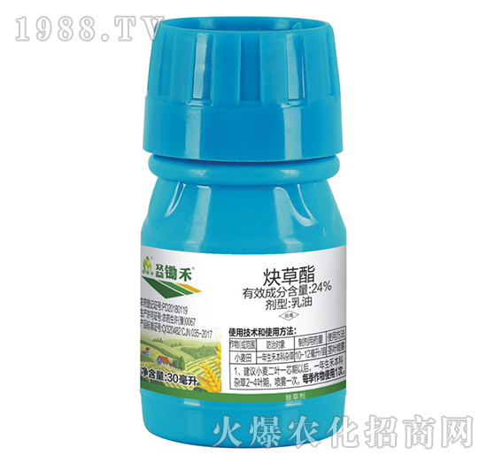 24%Ȳ����-�����z��-�����S