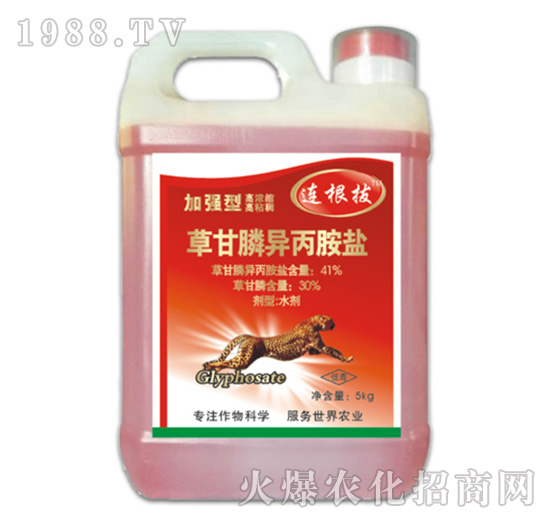 41%�ݸ�좮������}���ӏ�(qi��ng)�ͣ�-�B����-�ݵ�˹