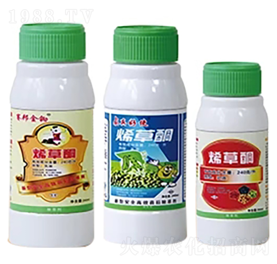 24%ϩ��ͪ����-ِ��