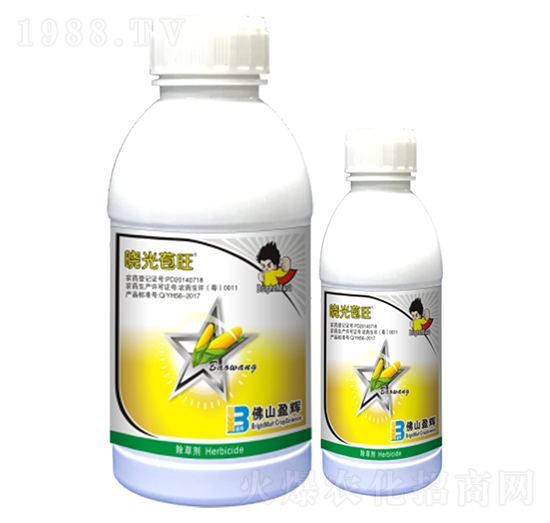 23%���ס�ݬȥ��-�Թ����-ӯ�x