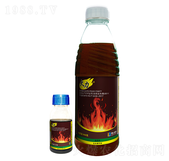 20%���ݿ�-����-ӯ�x