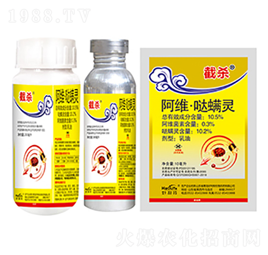 10.5%���S���}���`-����������