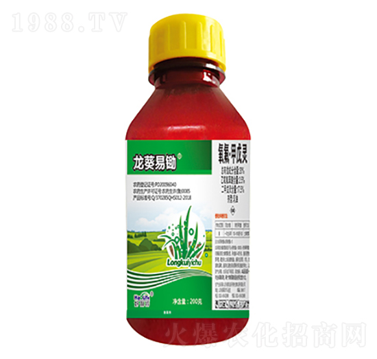 20%�����������`-�������z-����������