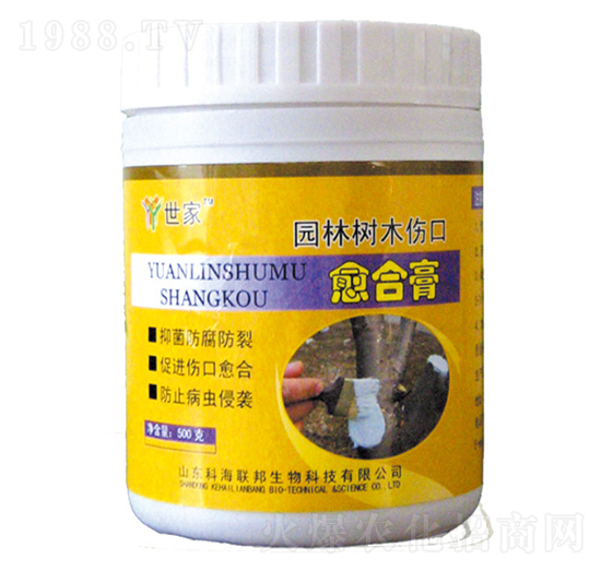 500g�@�֘�(sh��)ľ�������ϸ�-����-�ƺ�(li��n)��