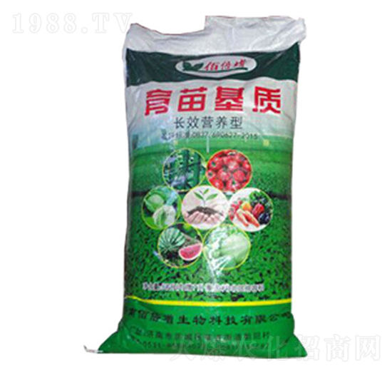 �L(zh��ng)Ч�I(y��ng)�B(y��ng)��������|(zh��)-�۱���