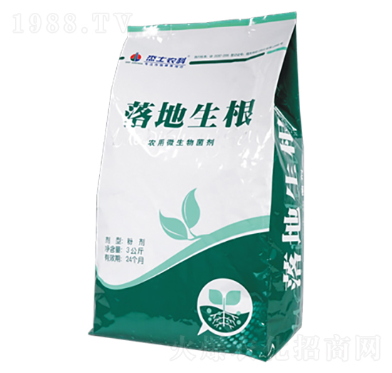 �r��΢�������-�������-��ʿ�r�I(y��)