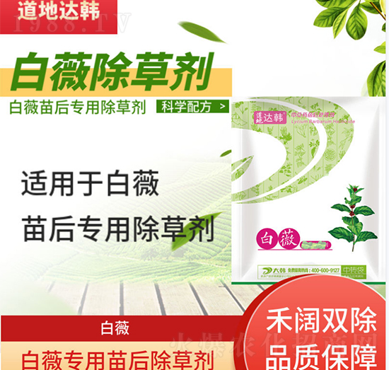 ��ޱ���݄�-��ޱ���-��ޱ����-���n