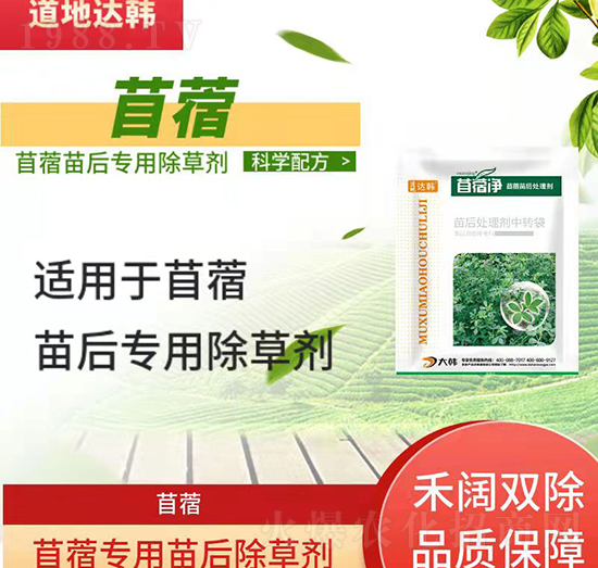 ��ޣ����݄�-��ޣ���-��ޣ��(zhu��n)��-���n