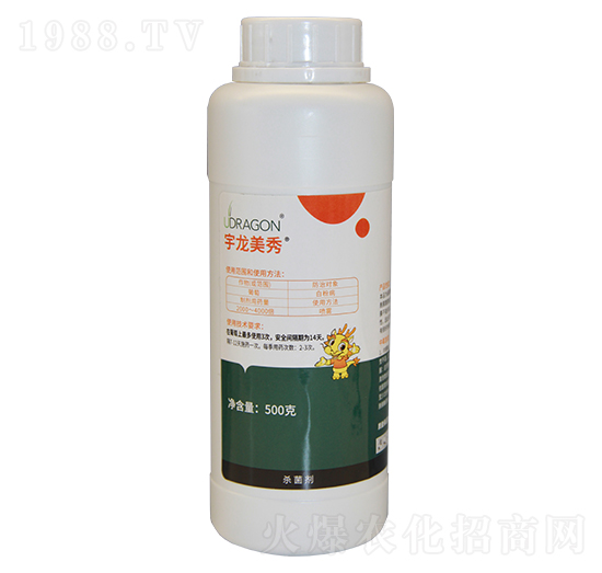 ��������-��������