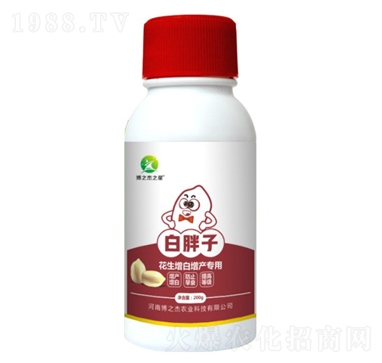 �����������a(ch��n)�����~���-������-�S�՘�(l��)