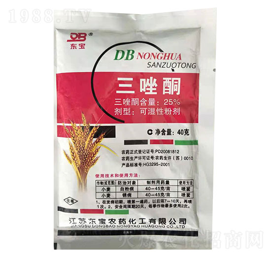 25%����ͪ-�|��