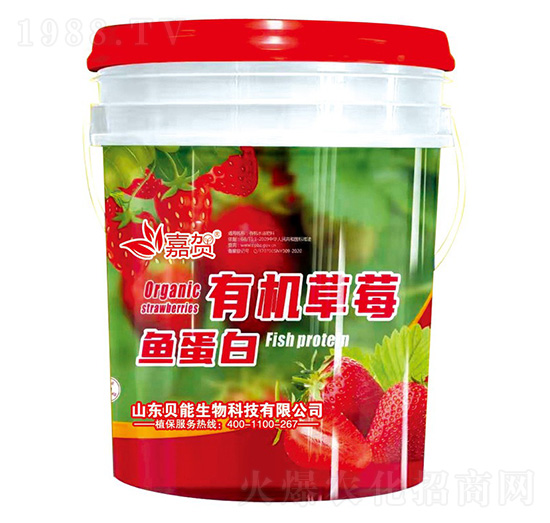 有機草莓魚蛋白-貝能生物