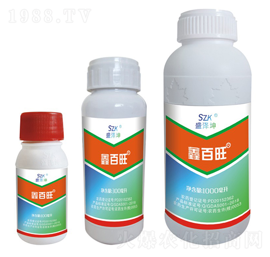 �ΰ��� ʢ����