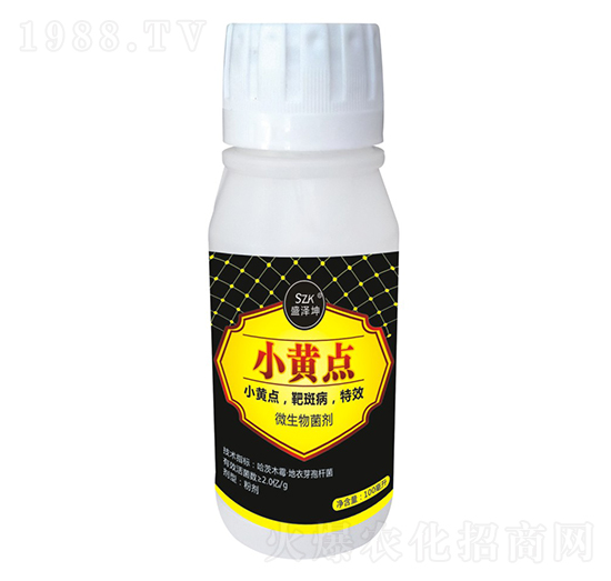 С�S�c ʢ����