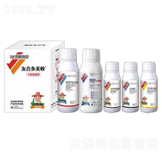 ʮ�����ײ� �Ѻ϶����� �����Ѻ�