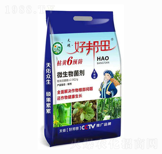 ���S6�A(y��)�� �ð��� ��T