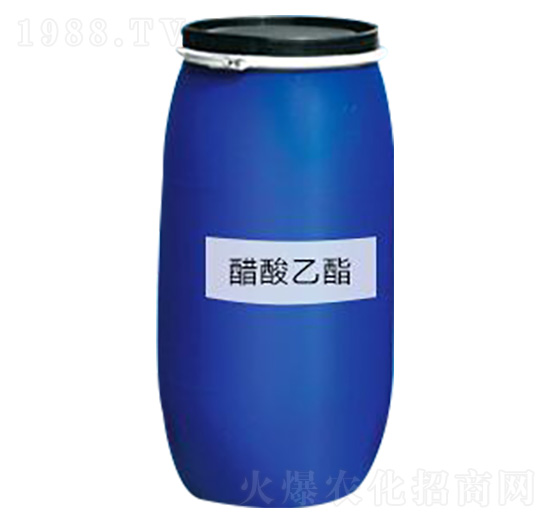 �������� �˷�����