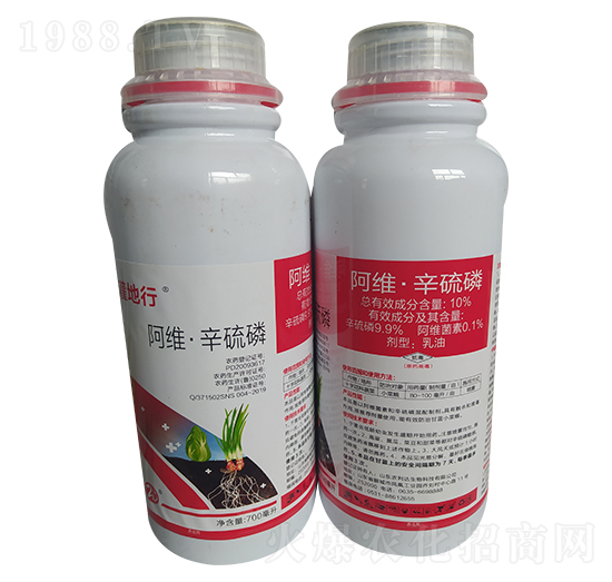 10%���S�������� ����� ��̩����