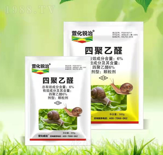 6%�ľ���ȩ-�滯�J��-�滯���h(yu��n)