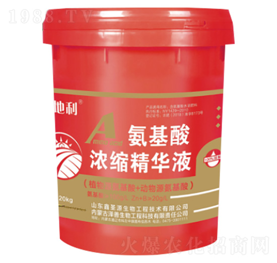 �������s���AҺ-������-��������