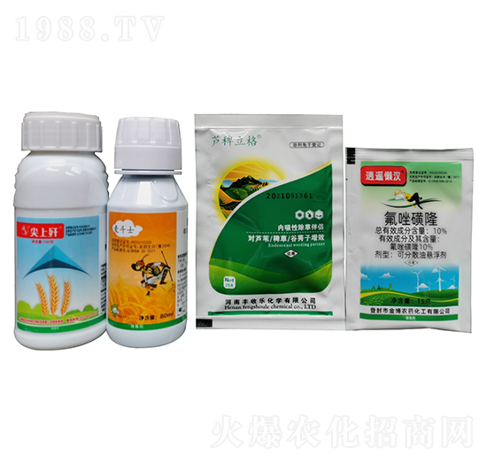 С�����݄��M��-���b�Нh-�S�՘�