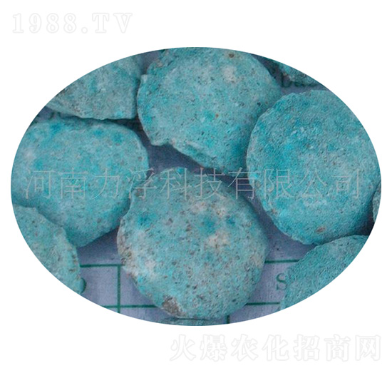 �ؙ������ؘ��-�����Ƽ�