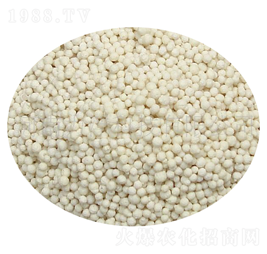 �����}�����-�����Ƽ�