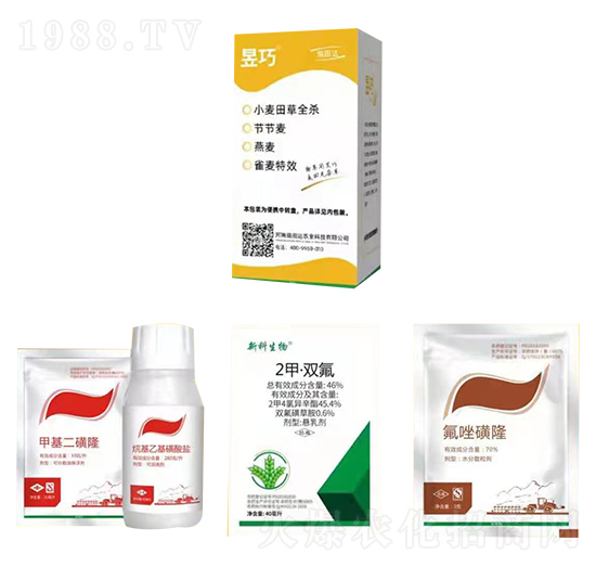 С�����ȫ��-����-�����_