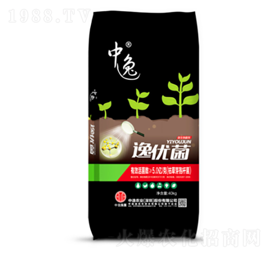 �������-�݃�(y��u)��5�|��-�����r�I(y��)