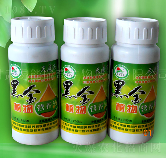 �ڽ�ֲ��I(y��ng)�B(y��ng)Һ-�G��