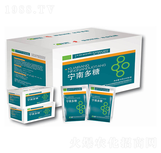 ��һ�������Ƅ�-���϶���-�������