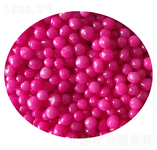 �۰�����Ĥ���أ��tɫ��-�ǝ�(r��n)����