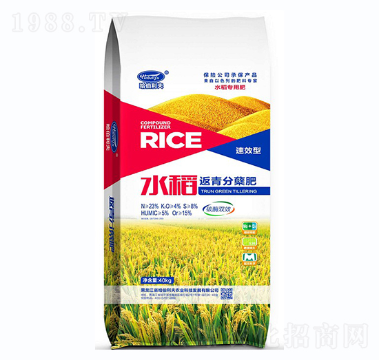 ˮ��������~��-��������