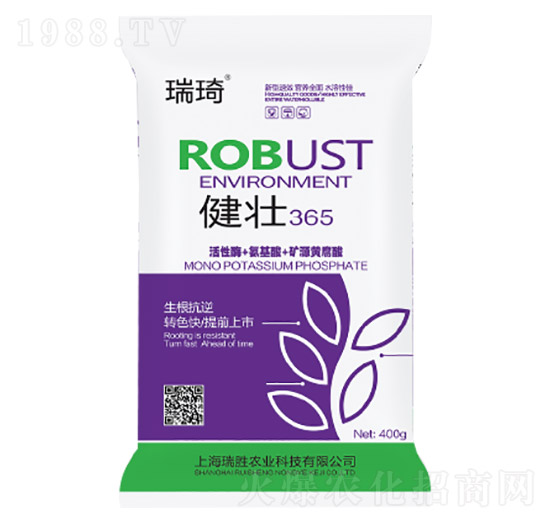 ����365-����-�����r�I(y��)