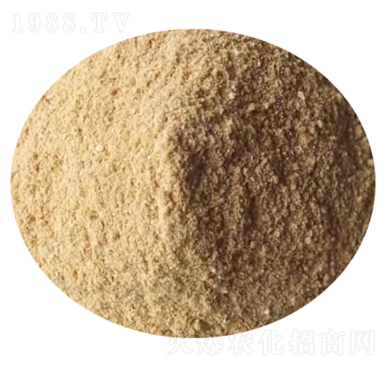 ���춬�����-���r(n��ng)�d̩