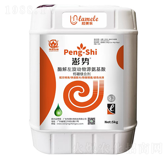 ø��������(d��ng)�ﰱ�����}���V�τ�-���-��������