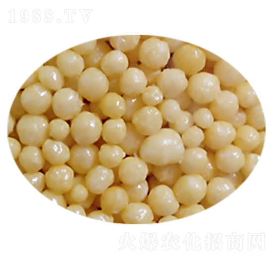 ���w���������-ِ���طʘI(y��)