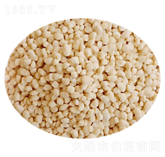 �����@�w��-ِ���طʘI(y��)