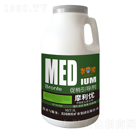 ��������(d��o)��-Ӣ����