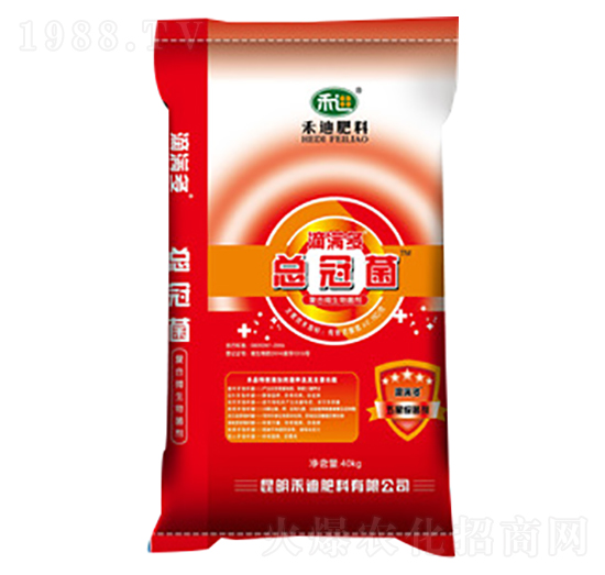 �ΝM(m��n)�࿂�ھ�-�̵�