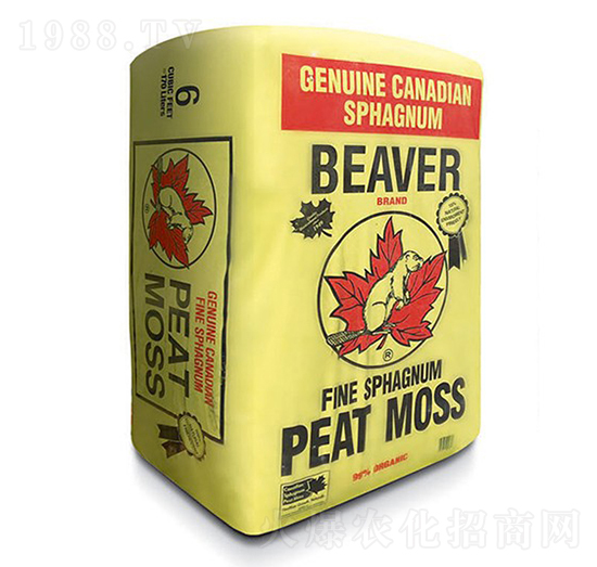 Beaver-�ָ���