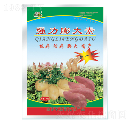 ���������-�������