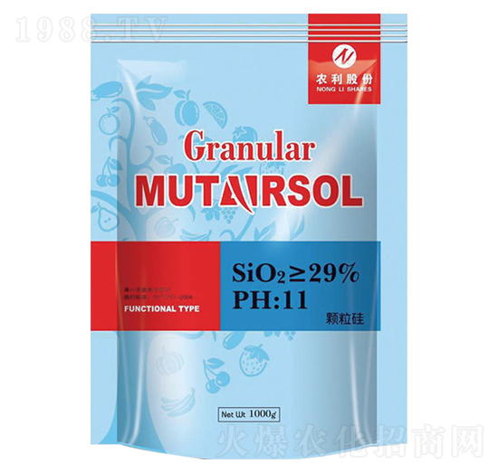 �w����-�r��