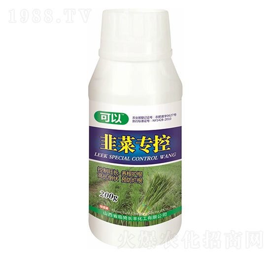 �²ˌ����~���-����-�L�S����