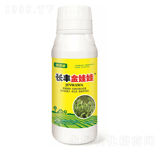 �L(zh��ng)�S�����ޣ���������-�G����-�L(zh��ng)�S����