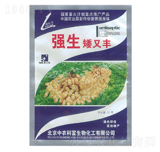 ���������S-��������